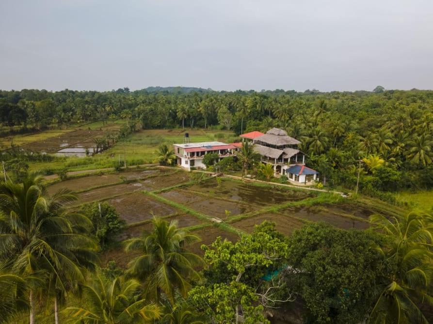 Nelu Villa Sigiriya Bagian luar foto
