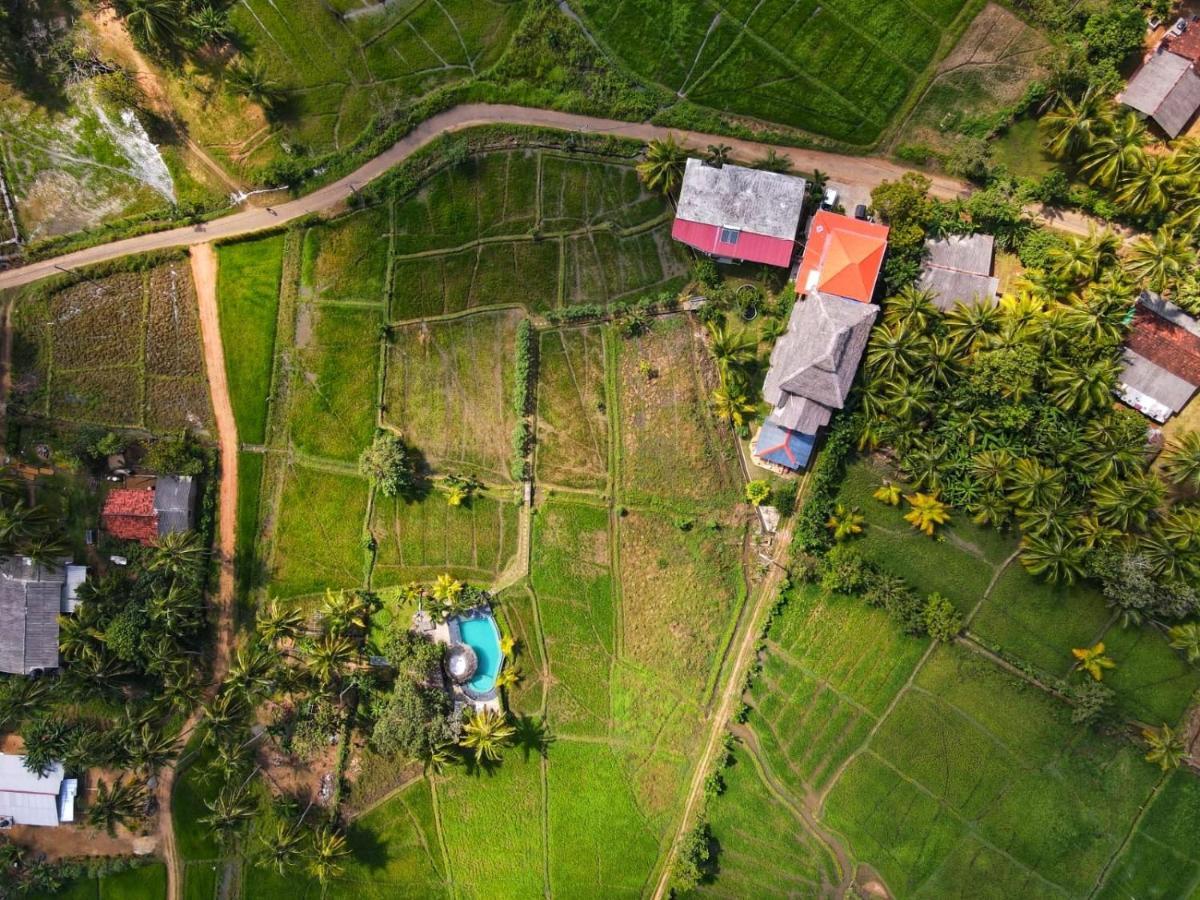 Nelu Villa Sigiriya Bagian luar foto