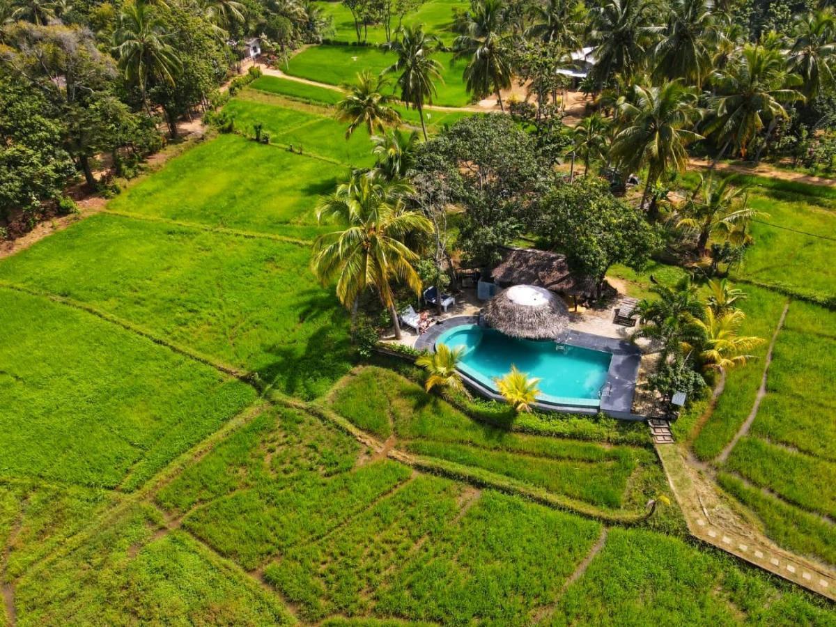 Nelu Villa Sigiriya Bagian luar foto