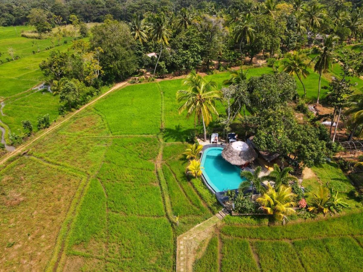 Nelu Villa Sigiriya Bagian luar foto