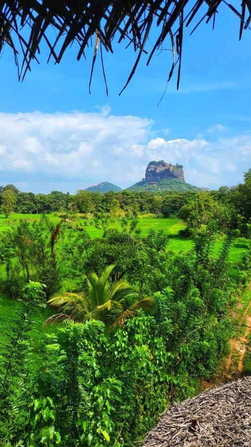Nelu Villa Sigiriya Bagian luar foto