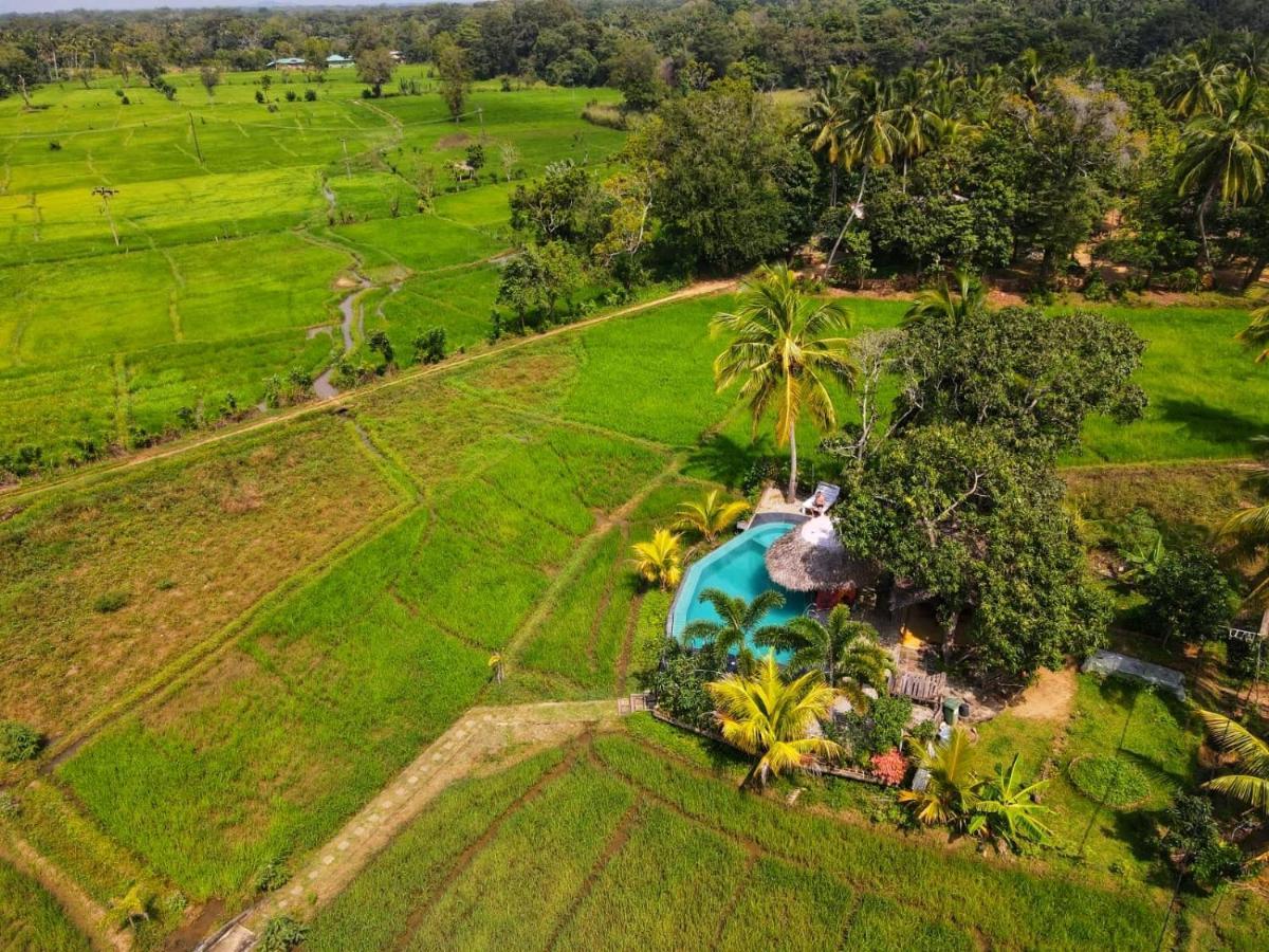 Nelu Villa Sigiriya Bagian luar foto