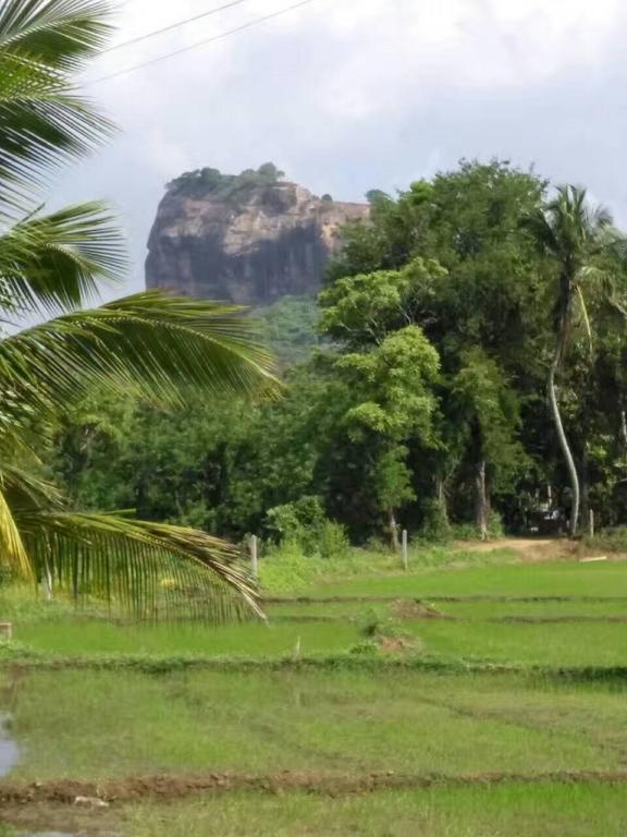 Nelu Villa Sigiriya Bagian luar foto