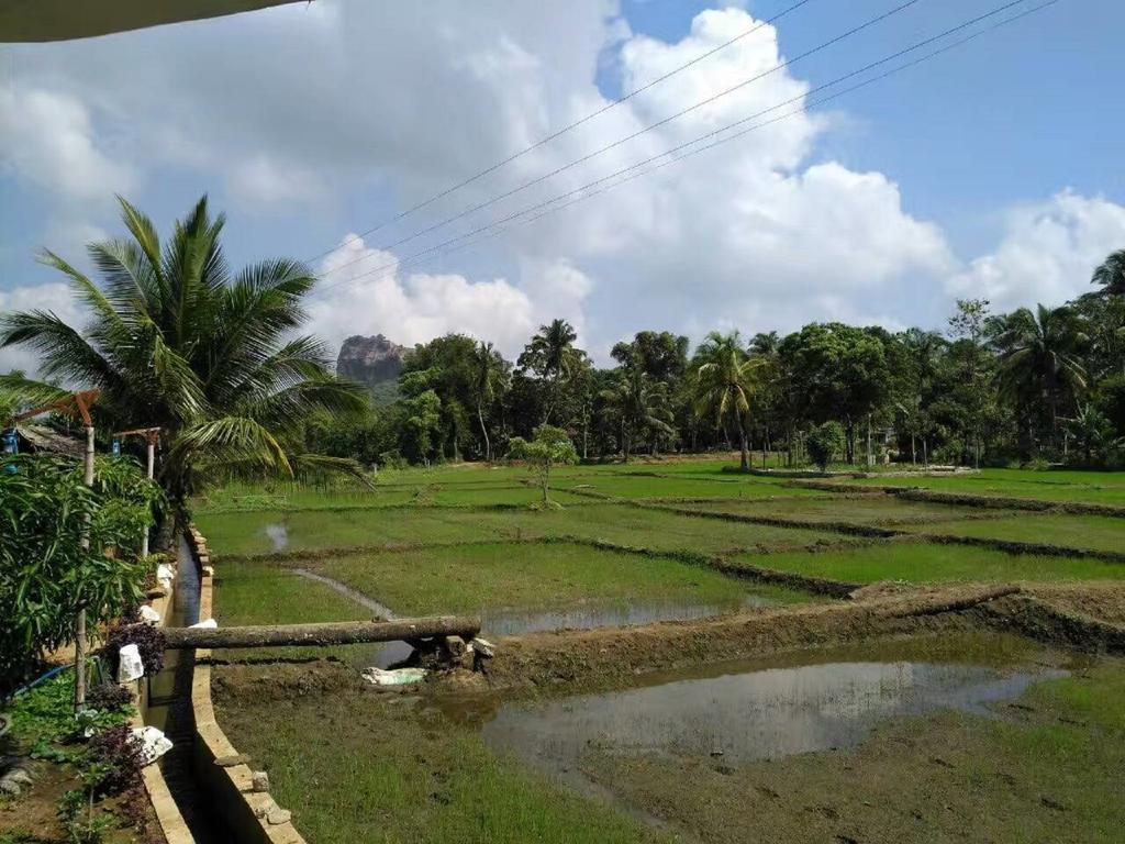 Nelu Villa Sigiriya Bagian luar foto