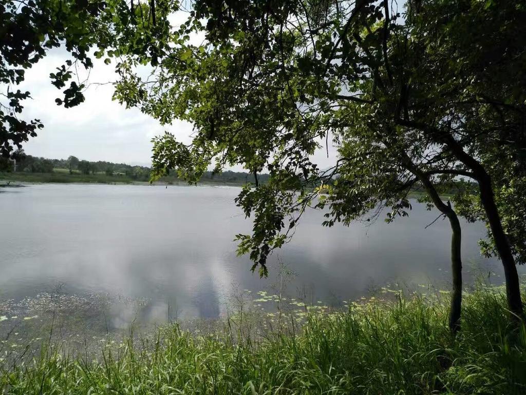Nelu Villa Sigiriya Bagian luar foto