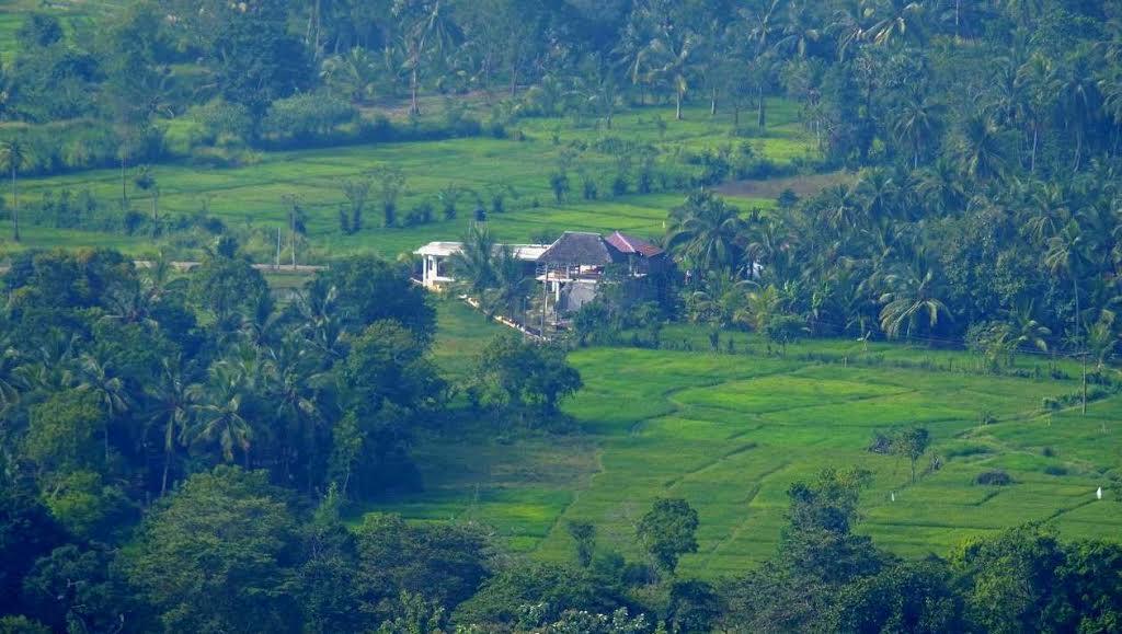 Nelu Villa Sigiriya Bagian luar foto