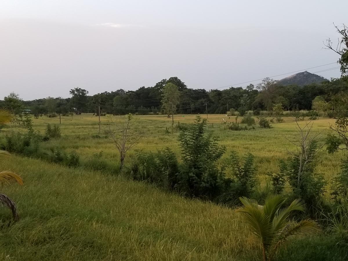 Nelu Villa Sigiriya Bagian luar foto