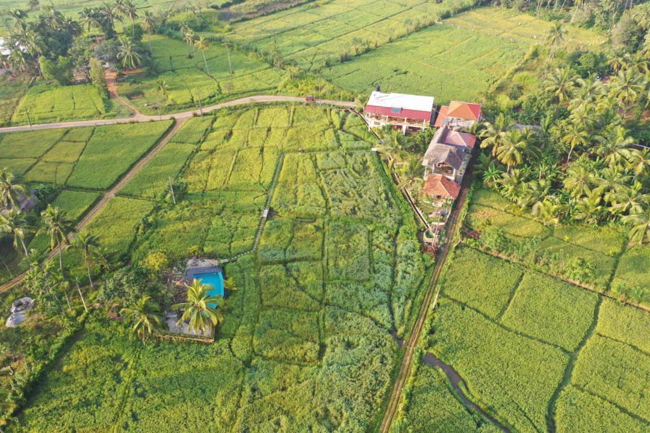 Nelu Villa Sigiriya Bagian luar foto